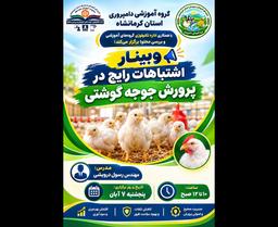 اشتباهات رایج در پرورش جوجه گوشتی
